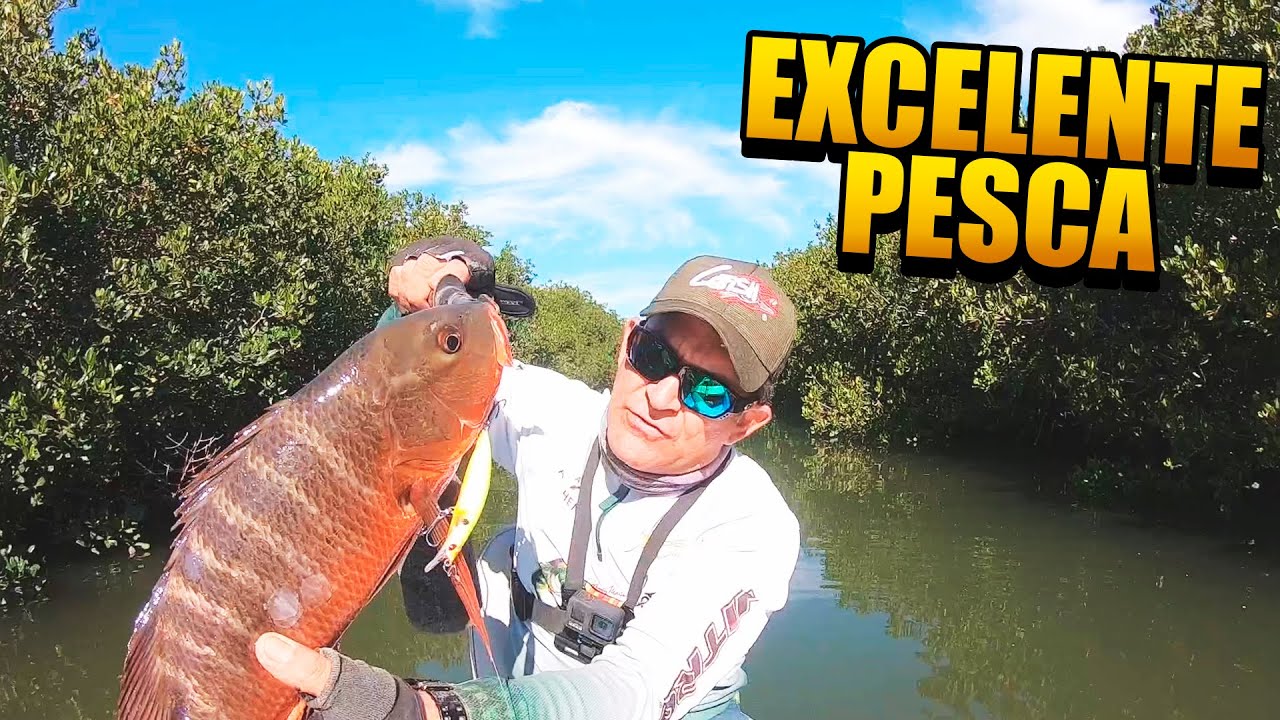 COMO PESCAR CON MINNOW EN EL MANGLAR | Lupe Lofish