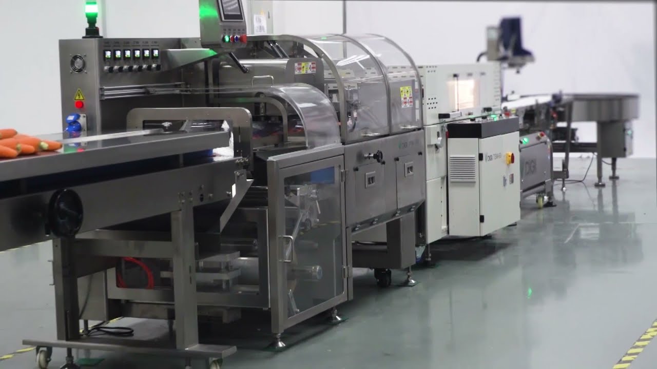 PW-100 - High-speed Pillow Type Packing Machine
