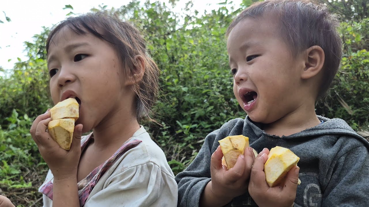 đi thu hoạch mang đi bán về đi làm thuê đổi gạo #Hoàng tiểu yến #123