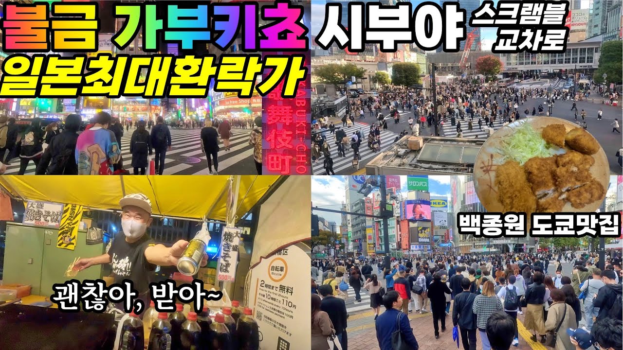 불금 가부키쵸 & 시부야 스크램블 교차로 [일본기차여행34]