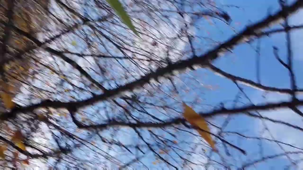 DJI MAVIC MINI ACCIDENT