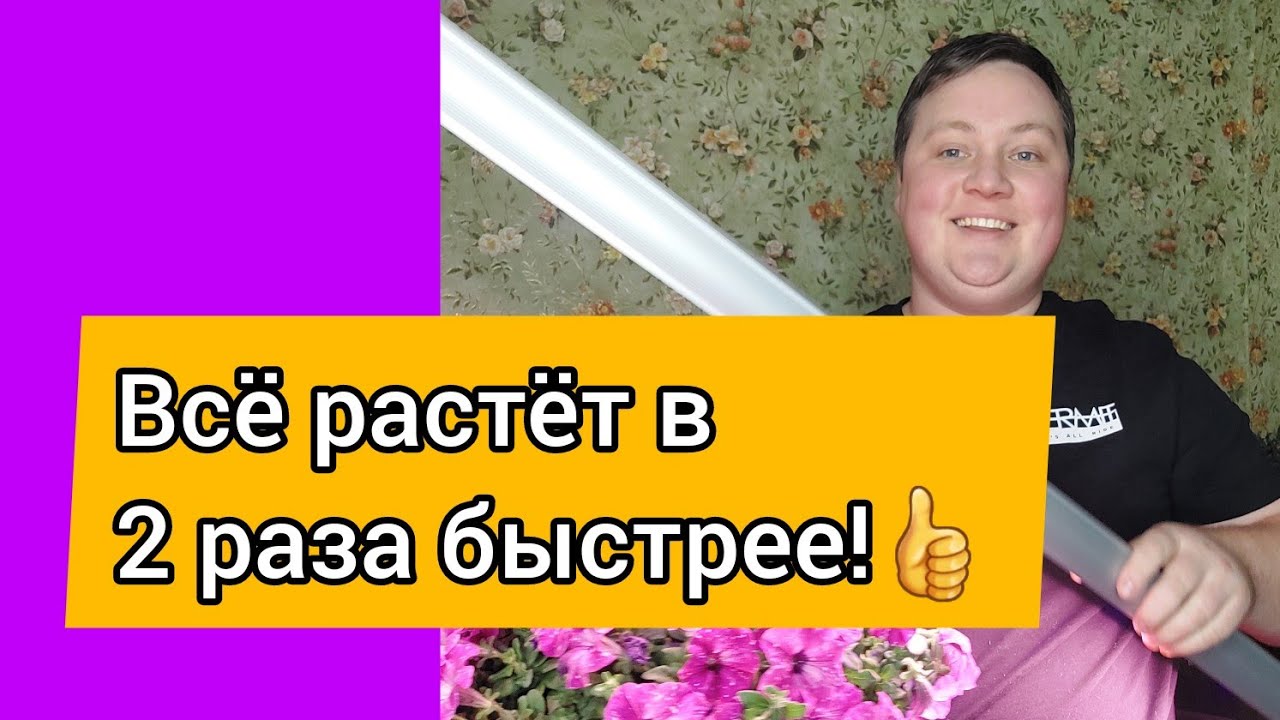 Волшебство фитолампы🧚‍♀️//Я не верю своим глазам!🌱