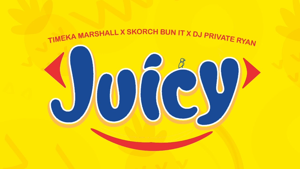 Juicy - Timeka Marshall X Skorch Bun It X DJ Private Ryan
