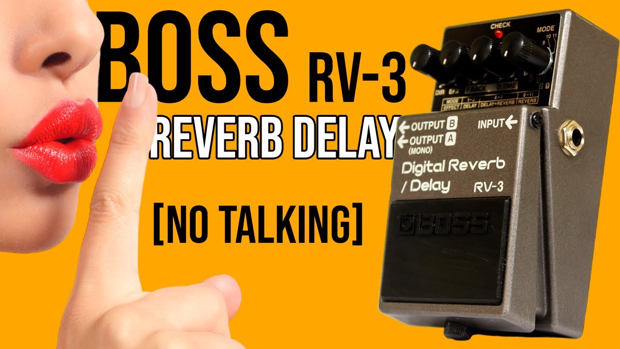 Boss RV-3 Digital Reverb Delay | Demo [NO TALKING]