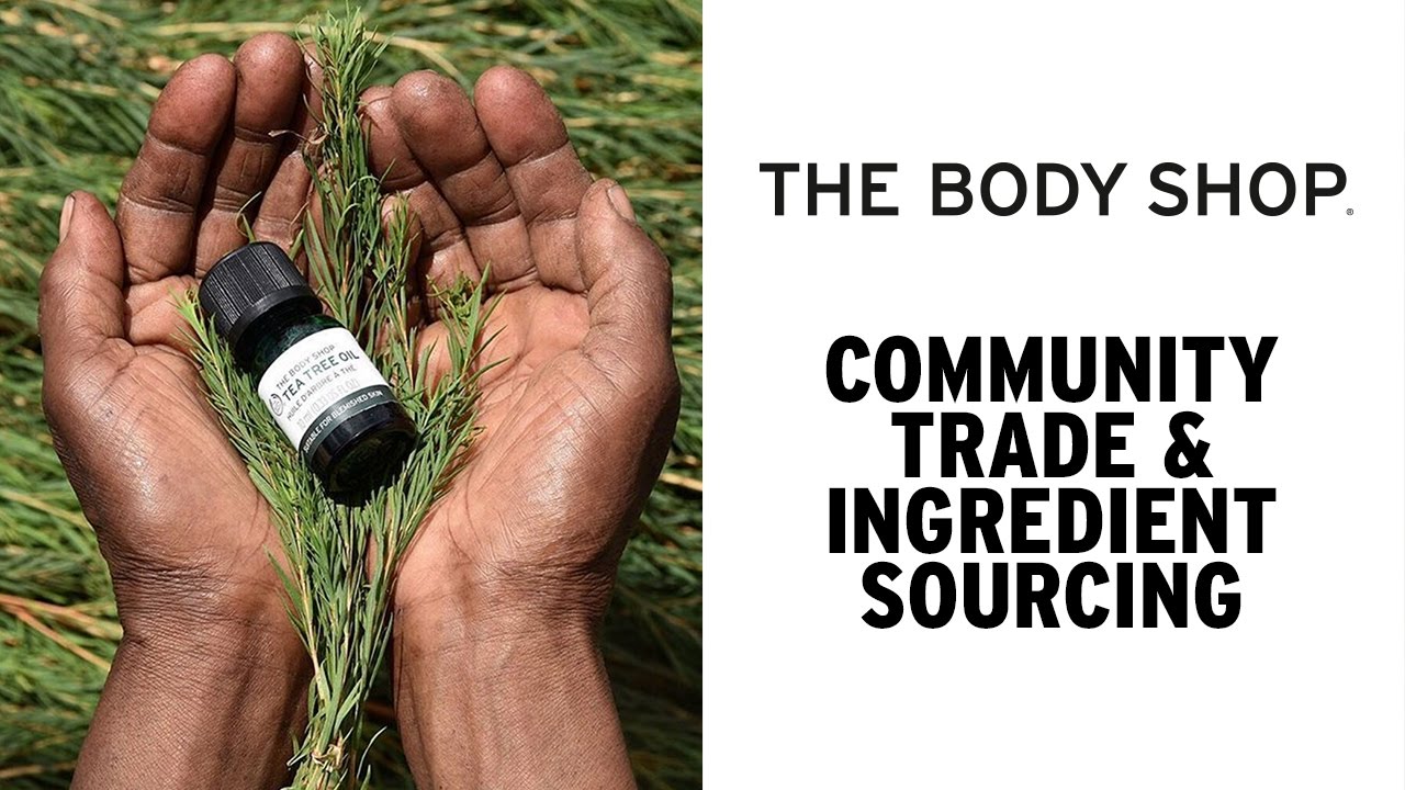 Sourcing our Community Trade Tea Tree - The Body Shop