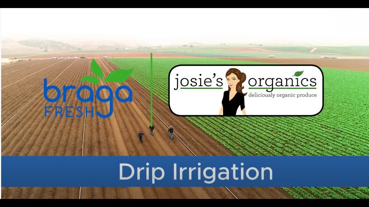 SUSTAINABILITY DRIP IRRIGATION