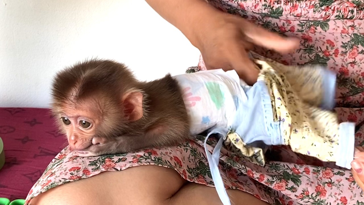 Amazing!! Little Princess LIORA lay on her mother's lap so she could wear her new dress