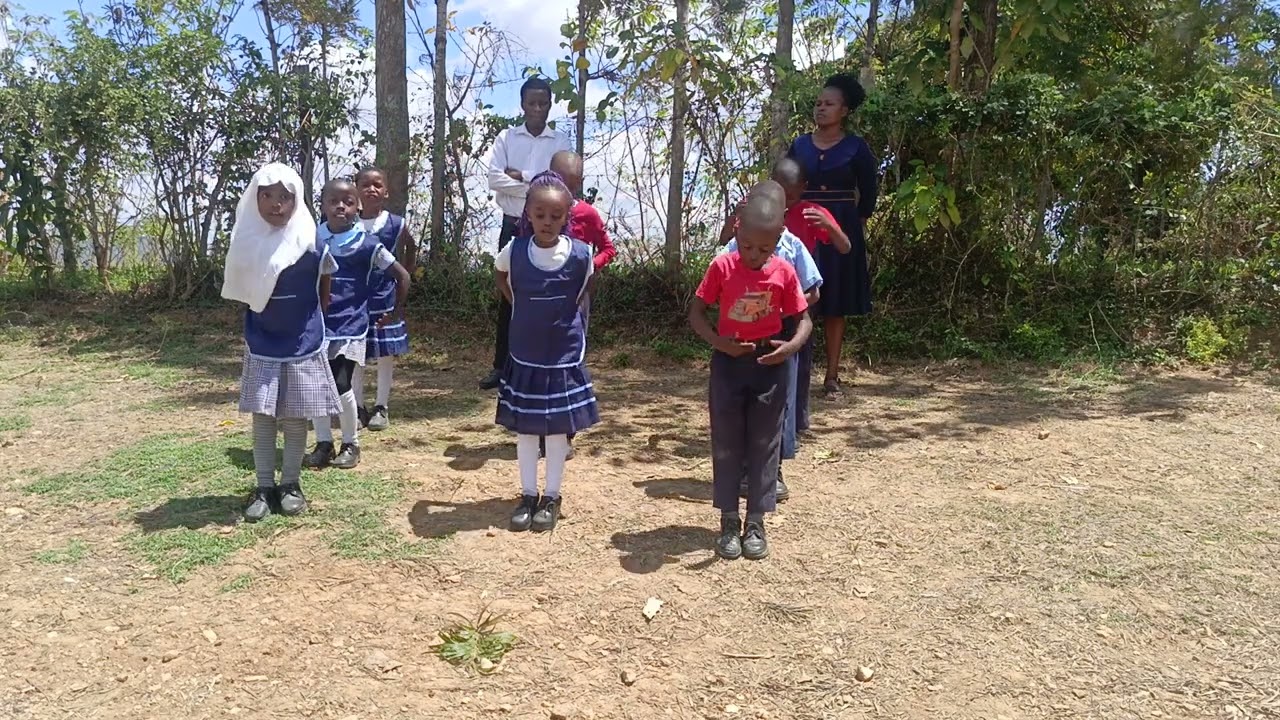 Grade 1 and 2 presentation.