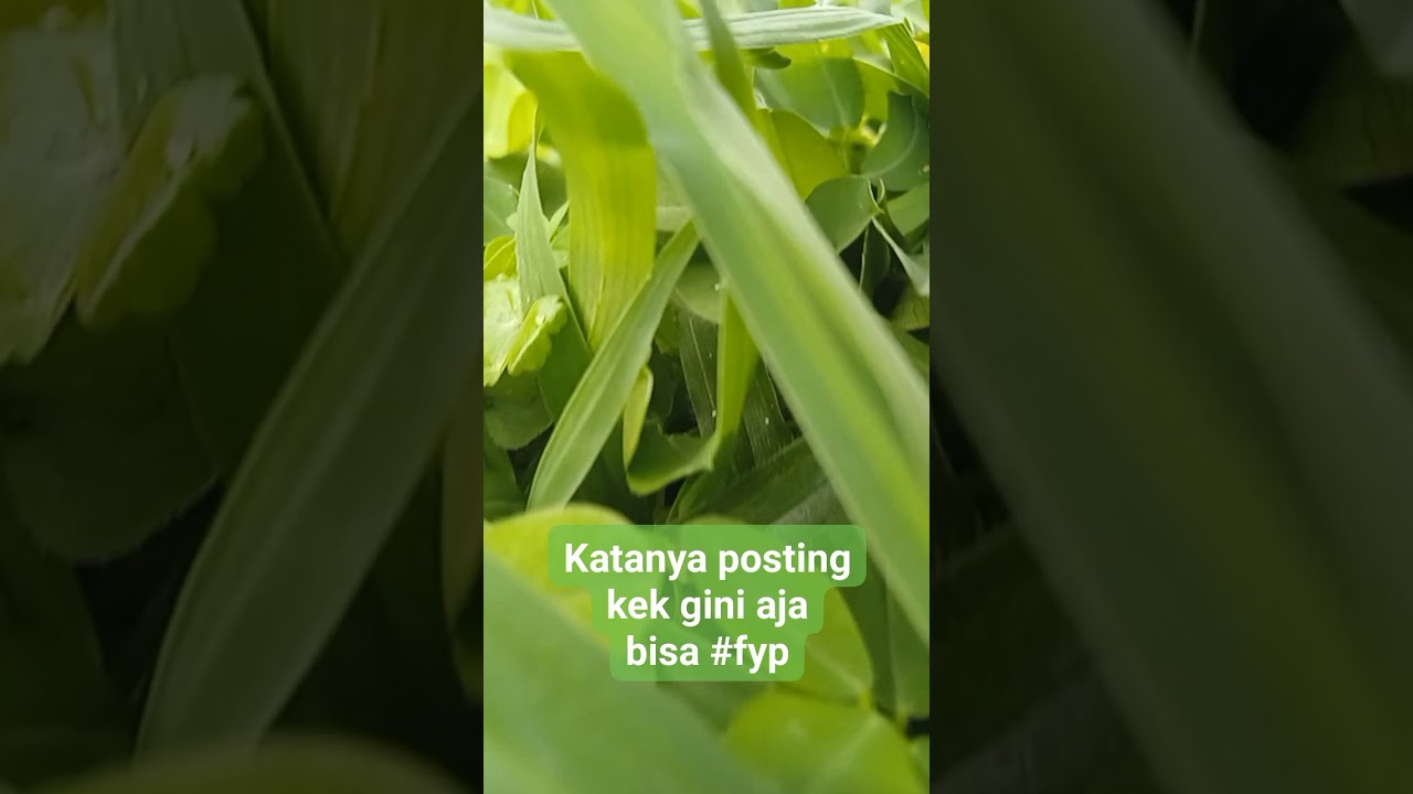 #bumdes #indonesia #kemendesa