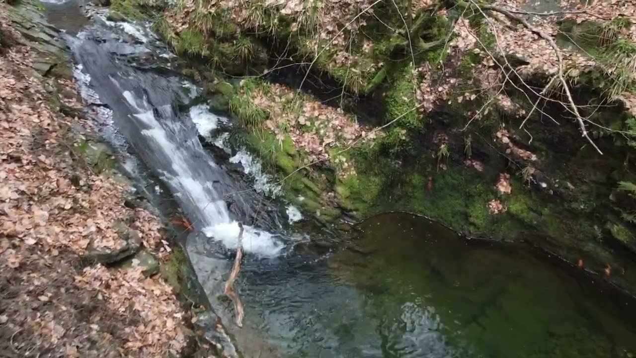 Les plus belles randonnées en Wallonie : le Ninglinspo (6km) et avec le Chefna (18 km)