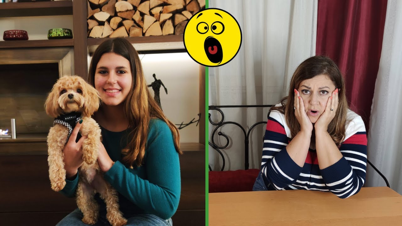 IGEN NAP! MA MOLLI MINDEN KÉRÉSÉRE IGENT KELL MONDANOM! NA DE KUTYA???