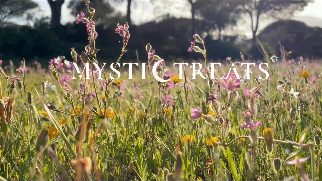 MYSTIC TEASER│Sound Journeys│Meditative Concerts│Sound Healing│Sound Massage│Mystic Treats