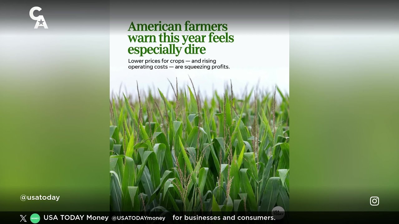 American Farmers Struggle