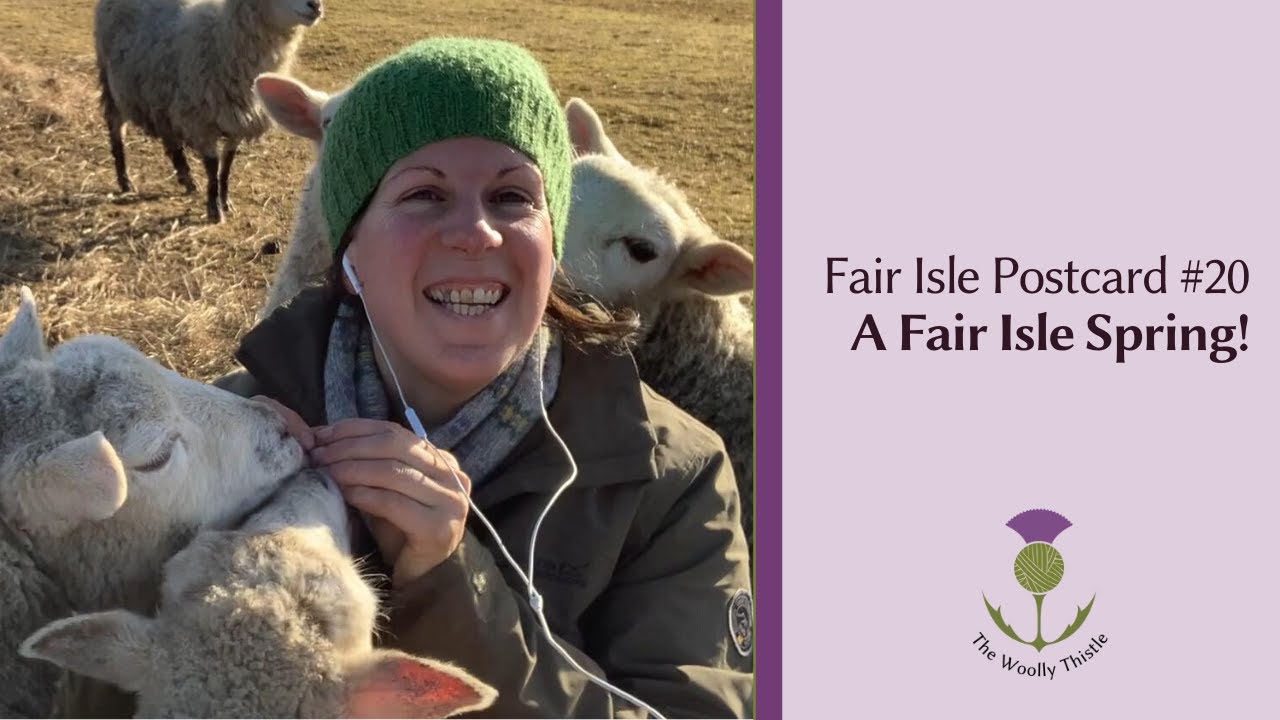Fair Isle Postcard #20- A Fair Isle Spring!  plus how to support Rachel