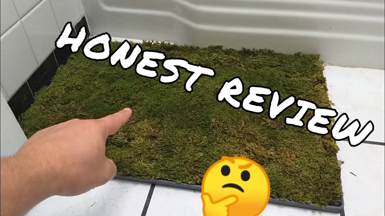 Moss Bathmat: an Honest Review