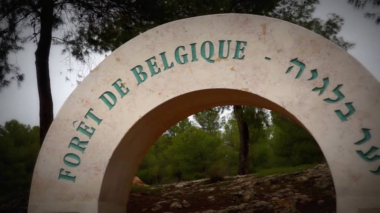 D&eacute;sert du N&eacute;guev - Yatir - For&ecirc;t de Belgique