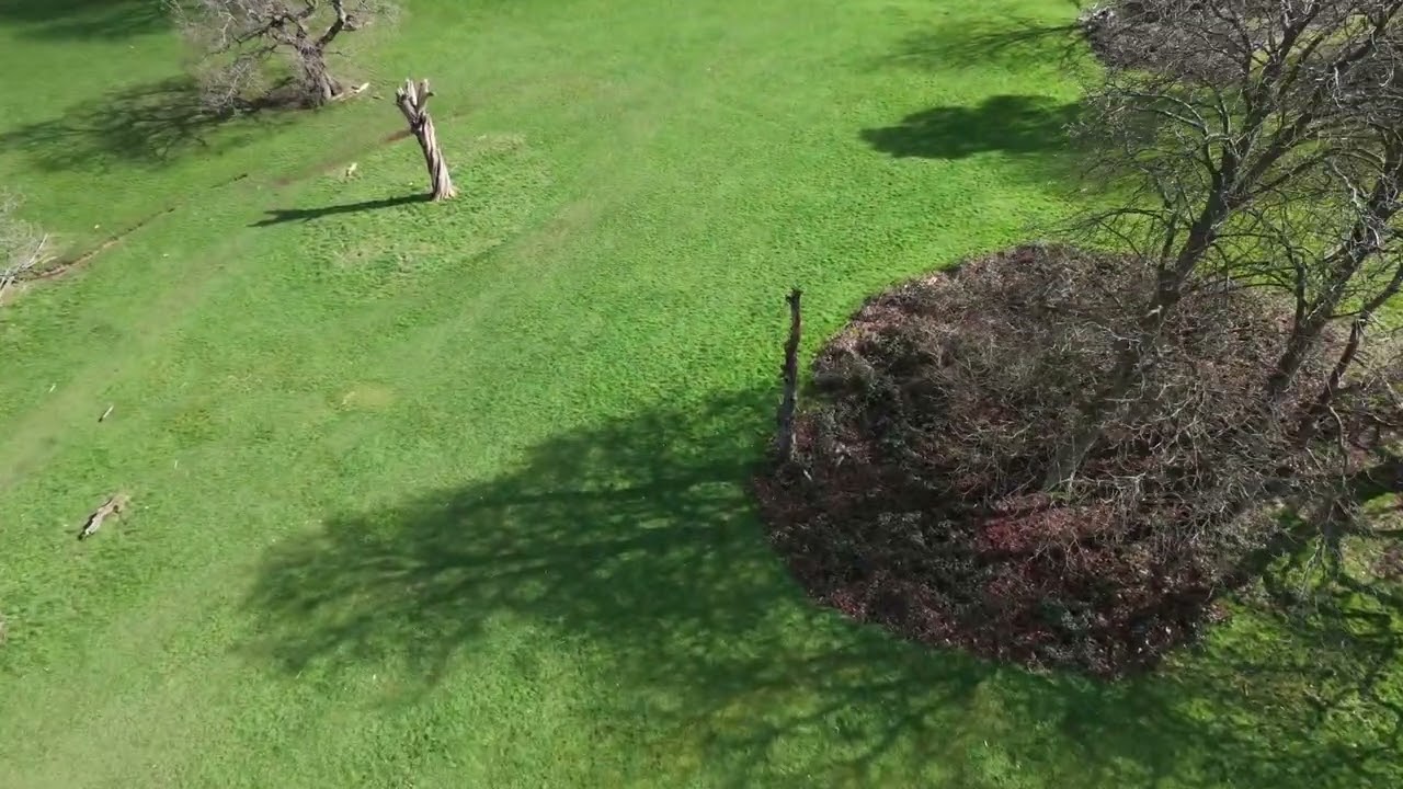 FPV Drone footage from Highbury and Moseley Park