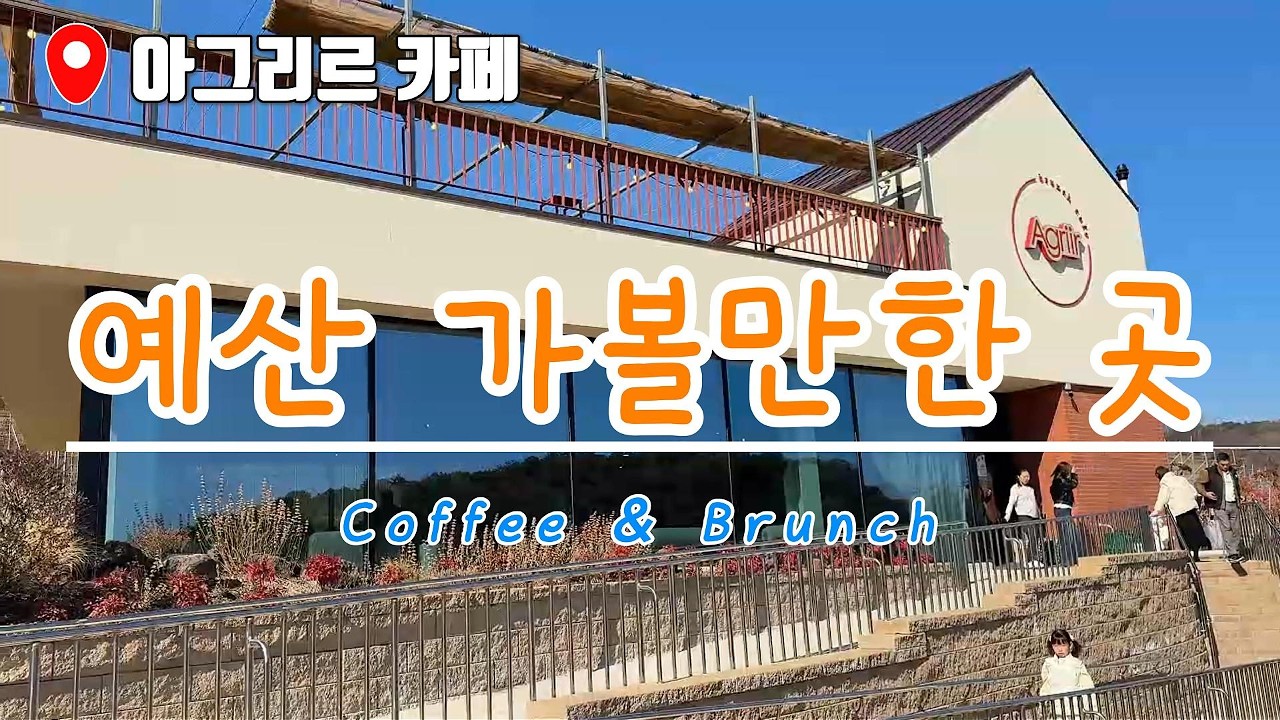 예산 아그리르 카페, 아이들이 너무 좋아해요! 토끼 먹이 주기와 고양이가 있는 곳 🐰🐱