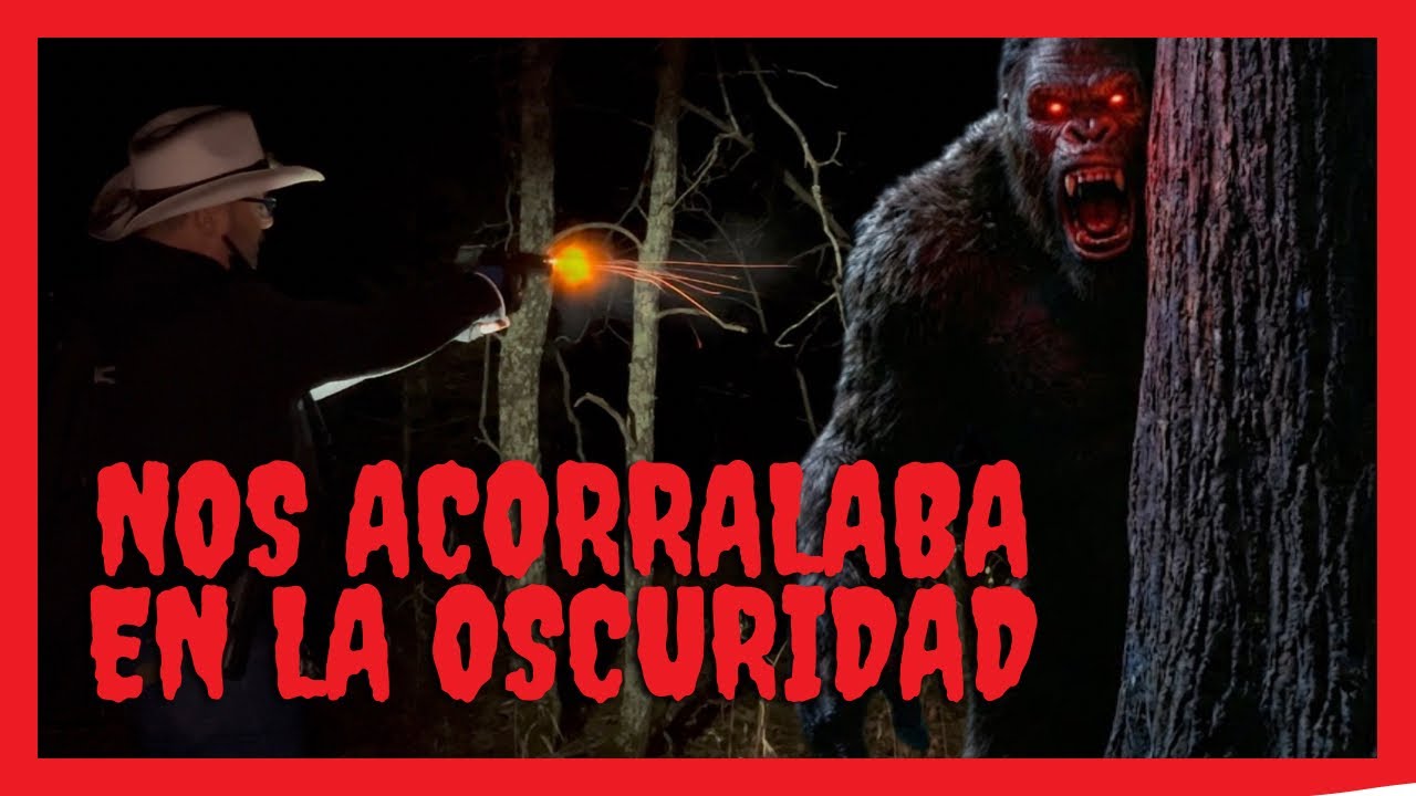 BIGFOOT NOS ACORRALABA EN LA OSCURIDAD 