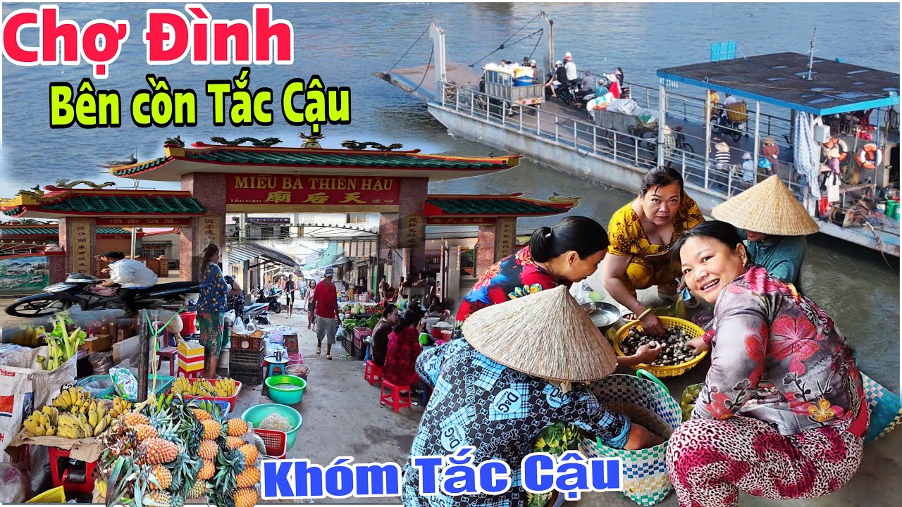 Độc Đáo Chợ Đình Tắc Cậu - Ngôi Chợ Nhỏ Bên Cồn Nằm Cặp Sông Cái Bé | Lâm Ái 68