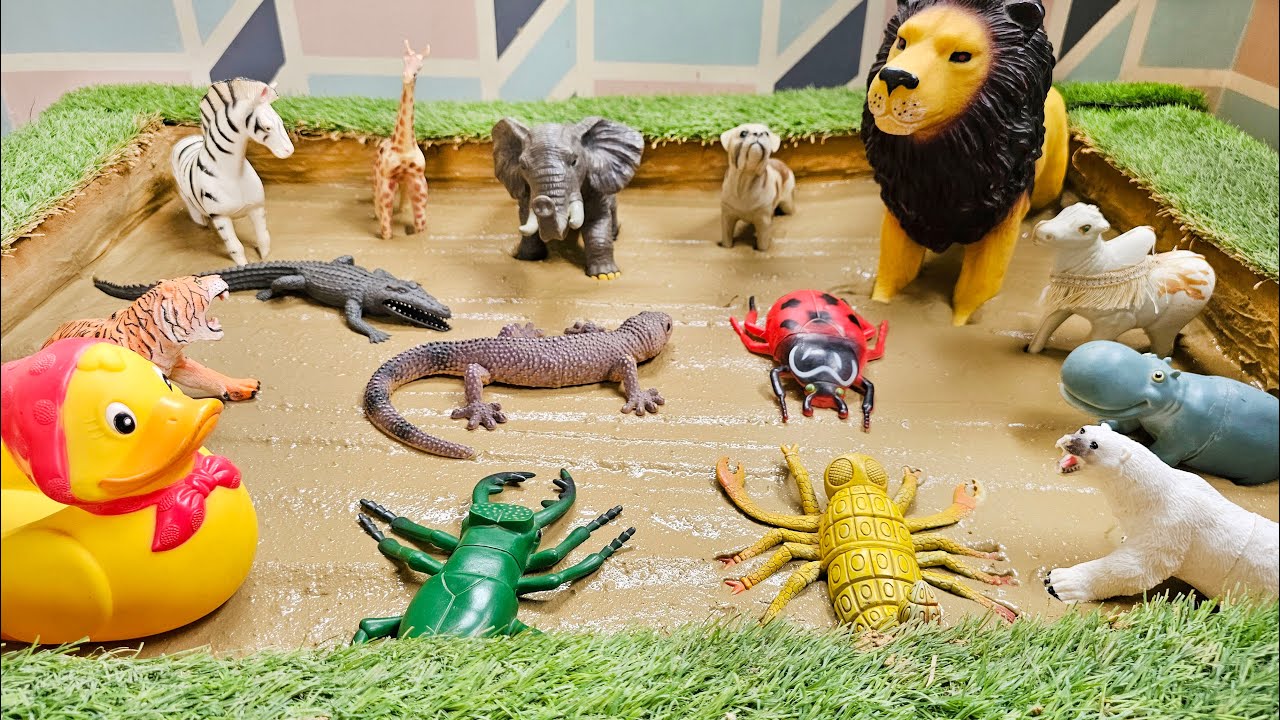Unforgettable Fun for Kids: Exploring the Majestic World of Safari Animals in The Sandbox