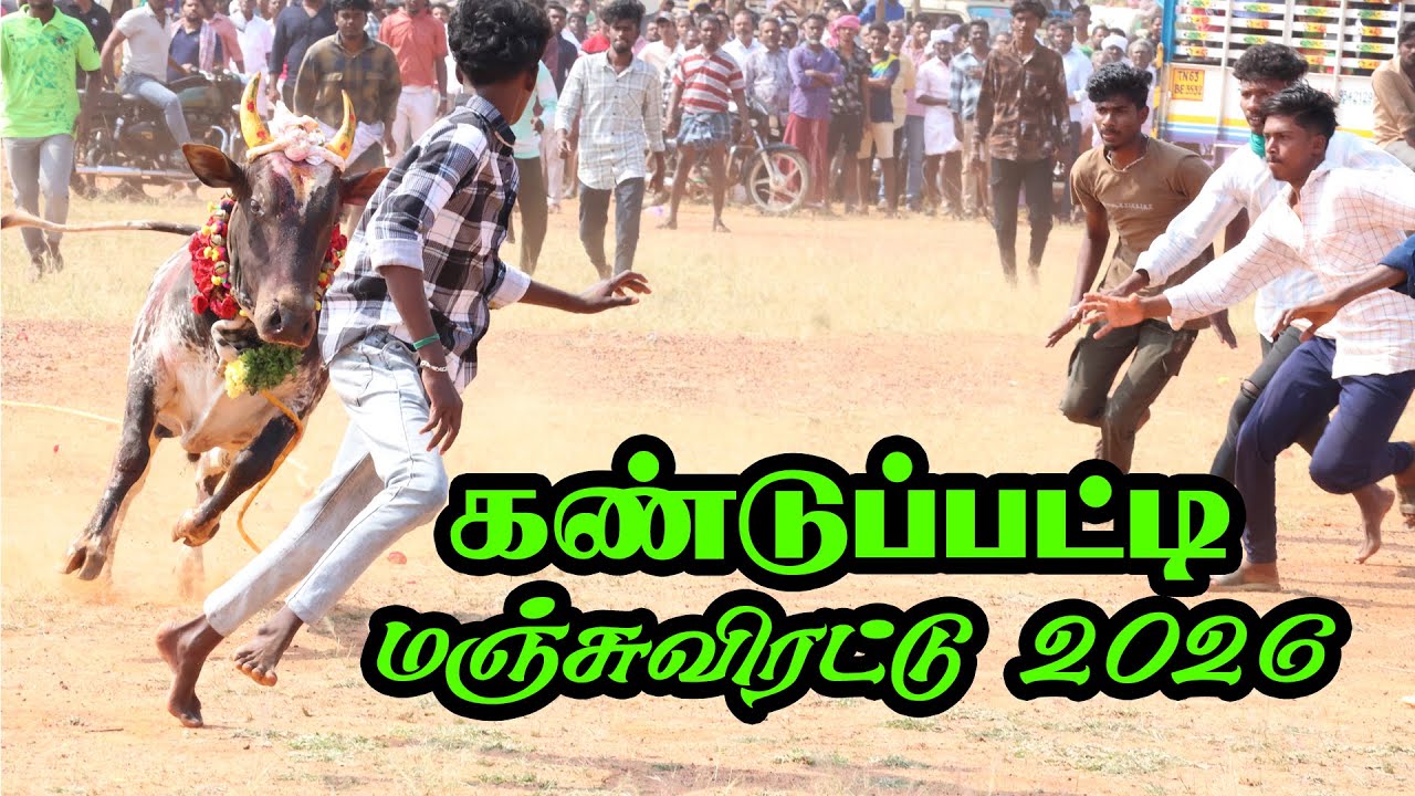 கண்டுப்பட்டி மஞ்சுவிரட்டு 2026 #tamil #culture #video #manjuvirattu #tamilnadu
