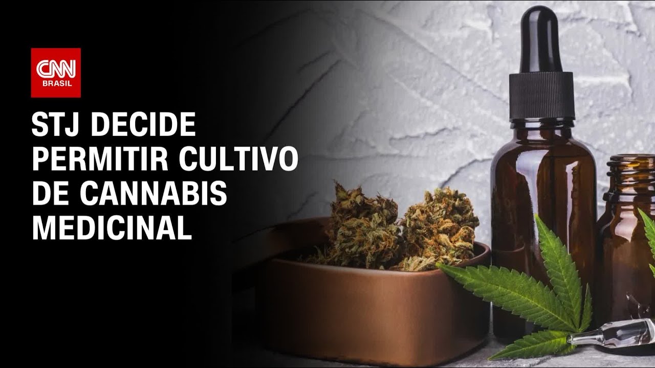 STJ decide permitir cultivo de Cannabis medicinal | CNN ARENA