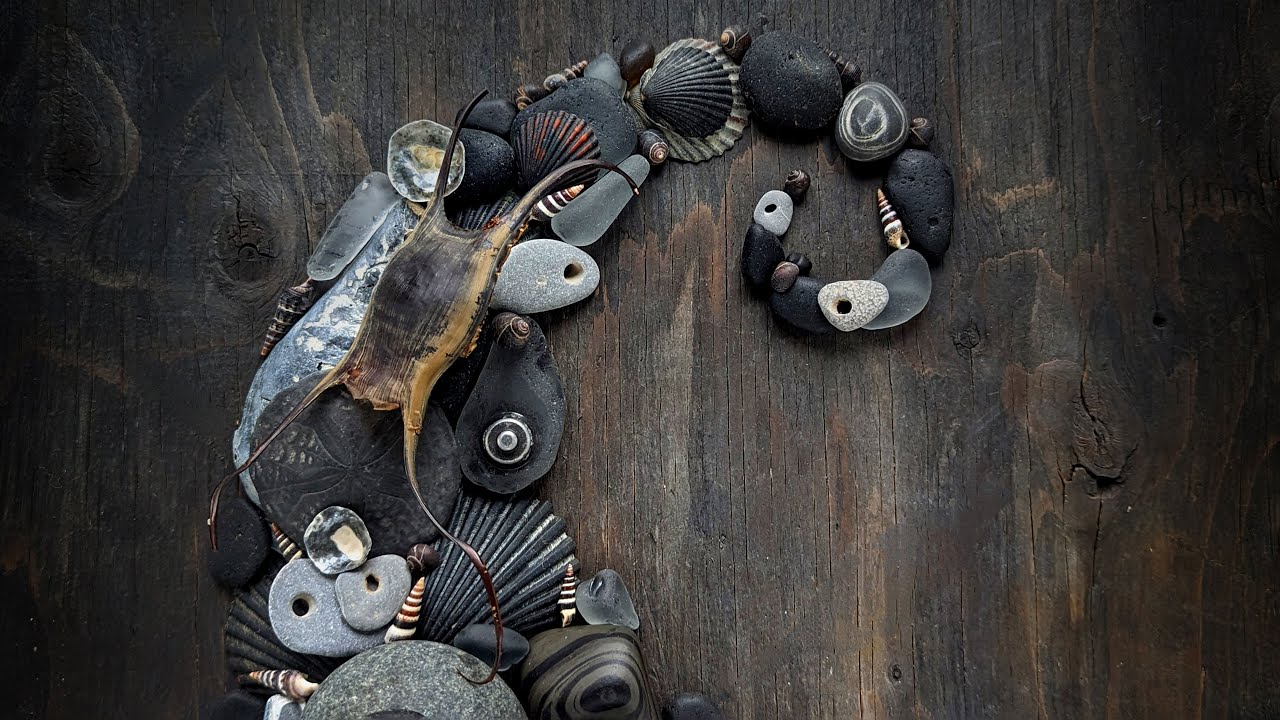 Beachcombing Magazine Volume 38 September October 2023