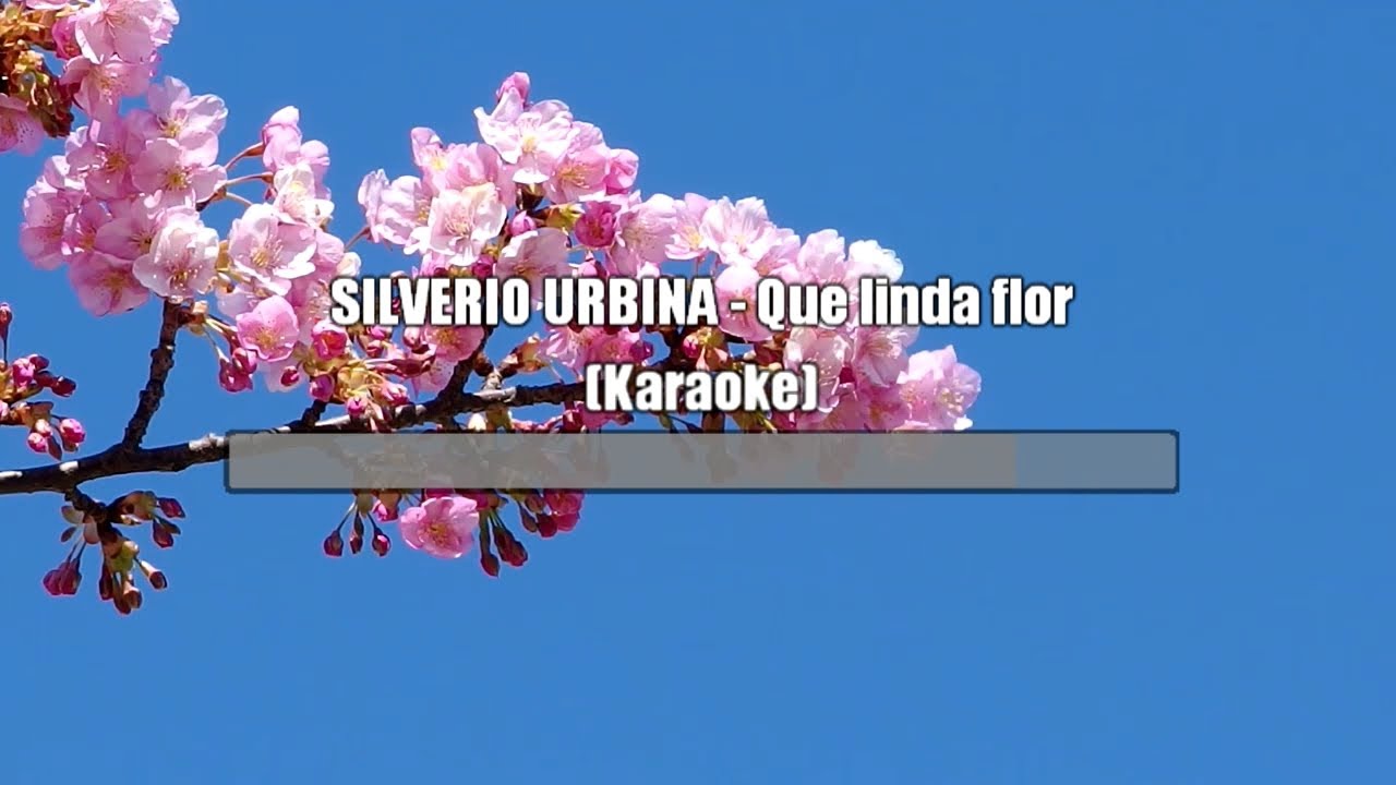 SILVERIO URBINA - Que linda flor (Karaoke)