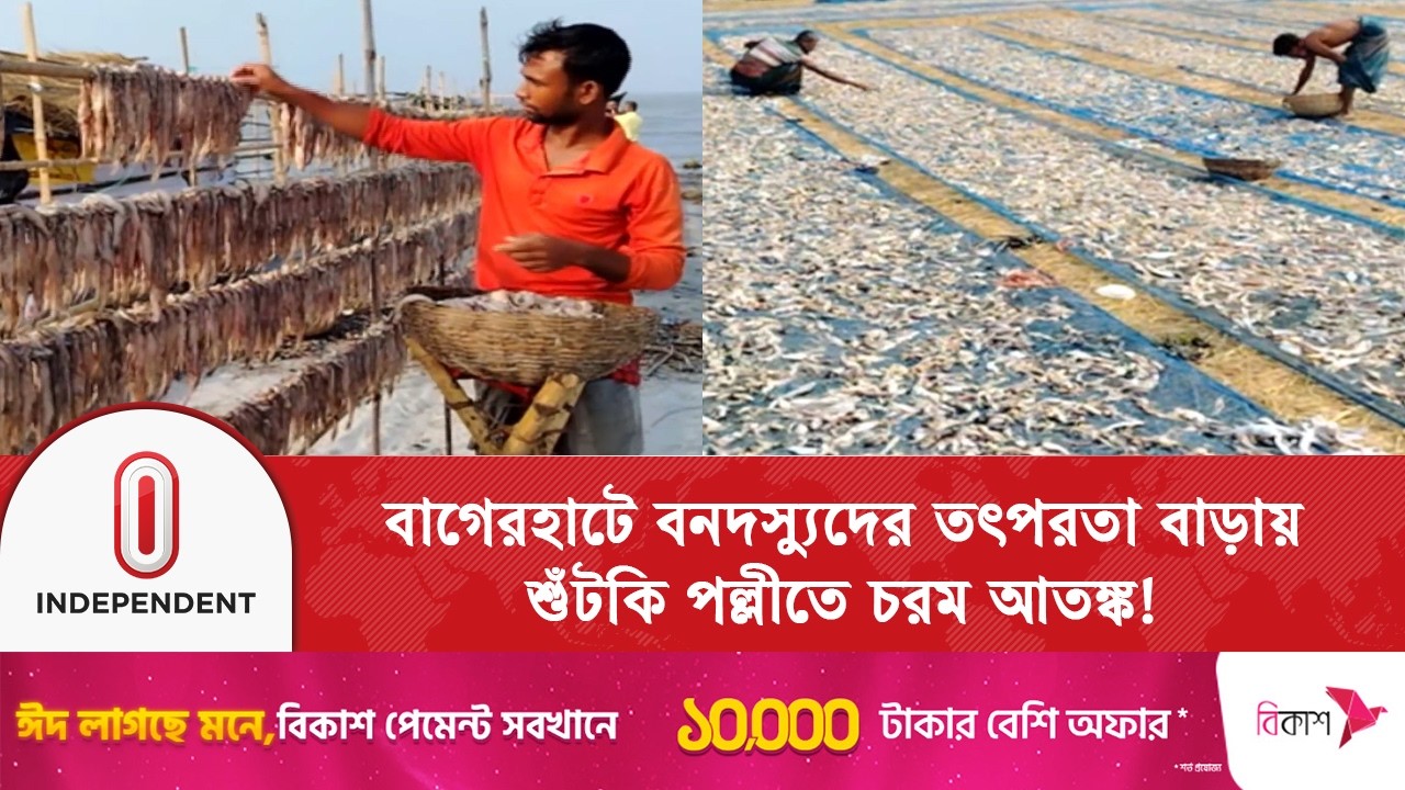 সুন্দরবনে বনদস্যুর আতঙ্কে মাছ ধরা বন্ধ; ১৫ হাজার জেলেদের | Sundarban | Independent TV