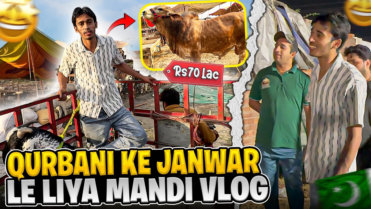 Qurbani Ke Janwar Le Liya 🐂 | 11 Saal Baad Mandi Gaya 😍 | FM Zeeshan Vlogs