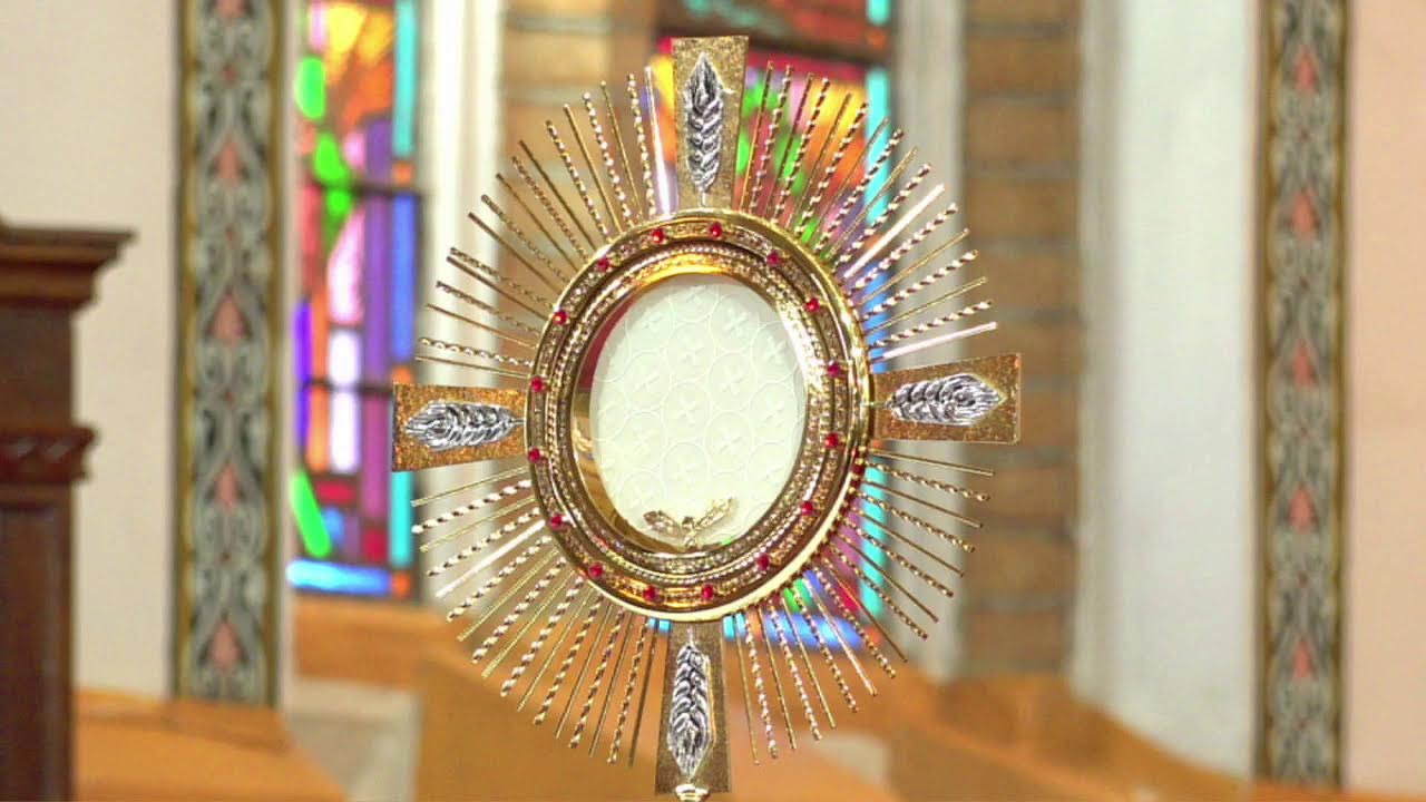 THURSDAY IN THE 2ND WEEK OF ORDINARY TIME | YR A | 21ST JAN 2025
