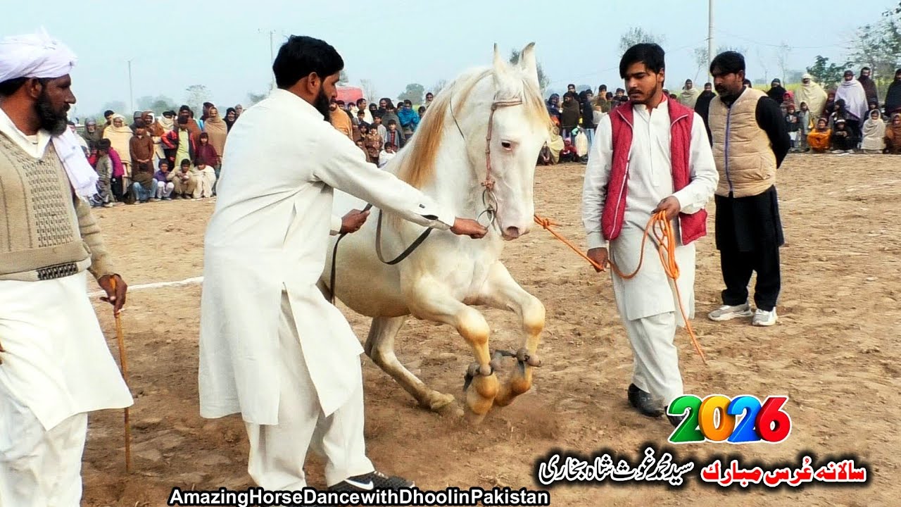 Horse Dance 🐎 ll Ghora Dance in Pakistan ll White Horse Dance Pakistani 2026