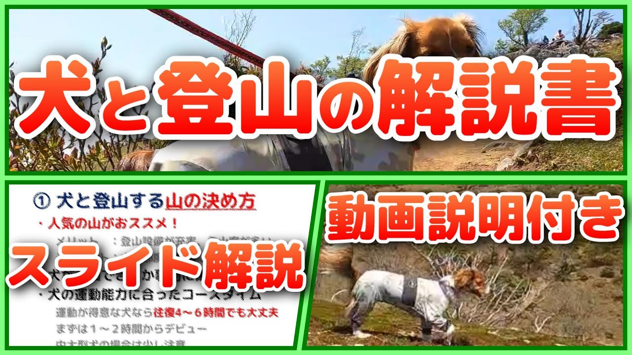 犬と登山する時のポイント解説（山の選び方、持ち物、注意点）