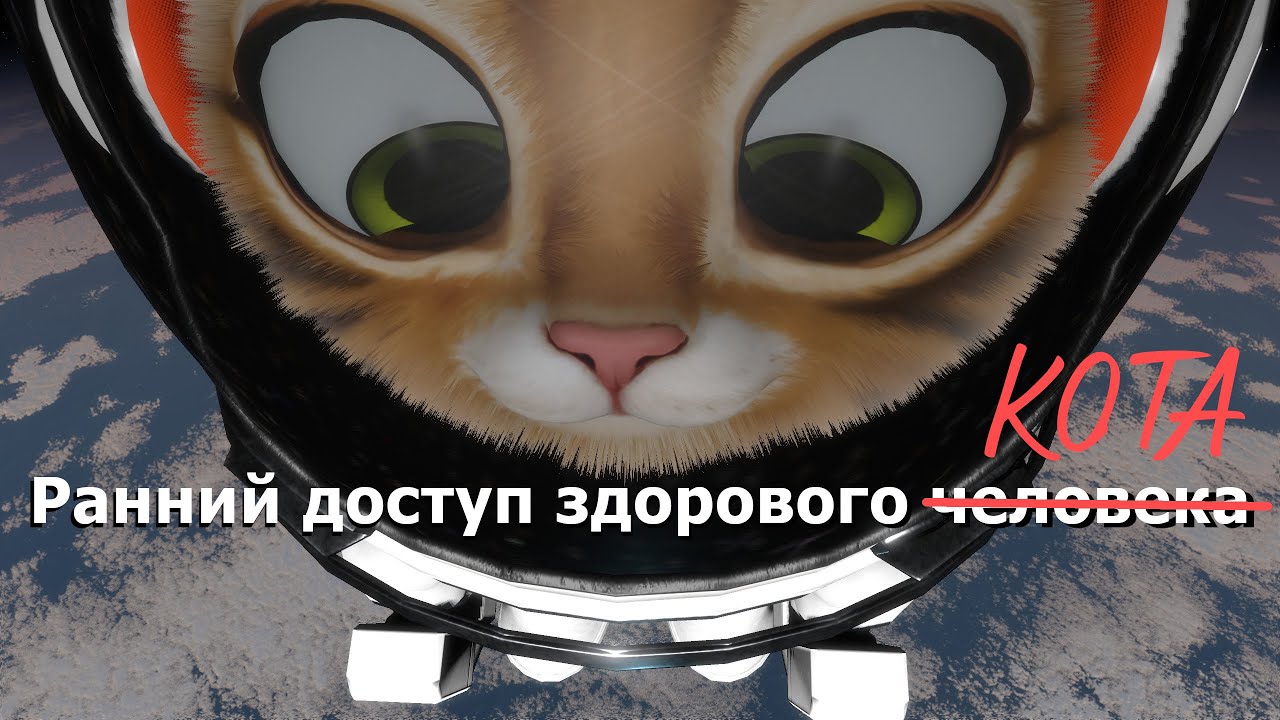 Kitten Space Agency