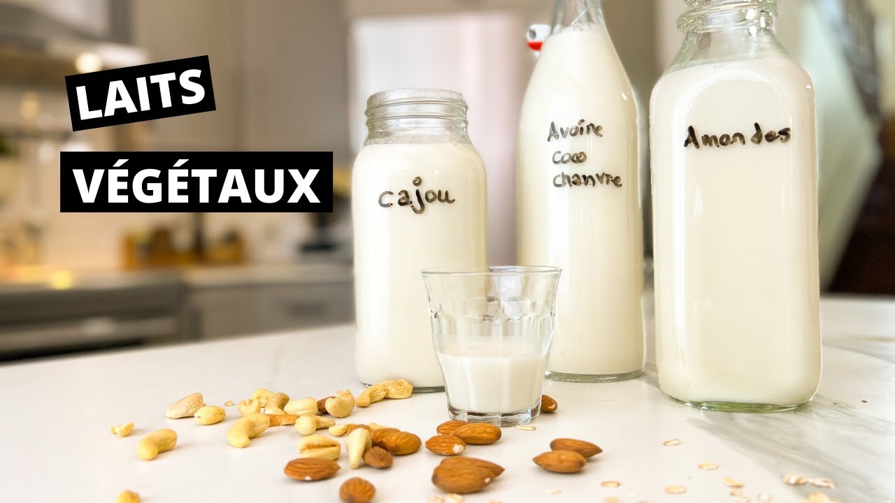 Recette de lait végétal maison par La petite bette
