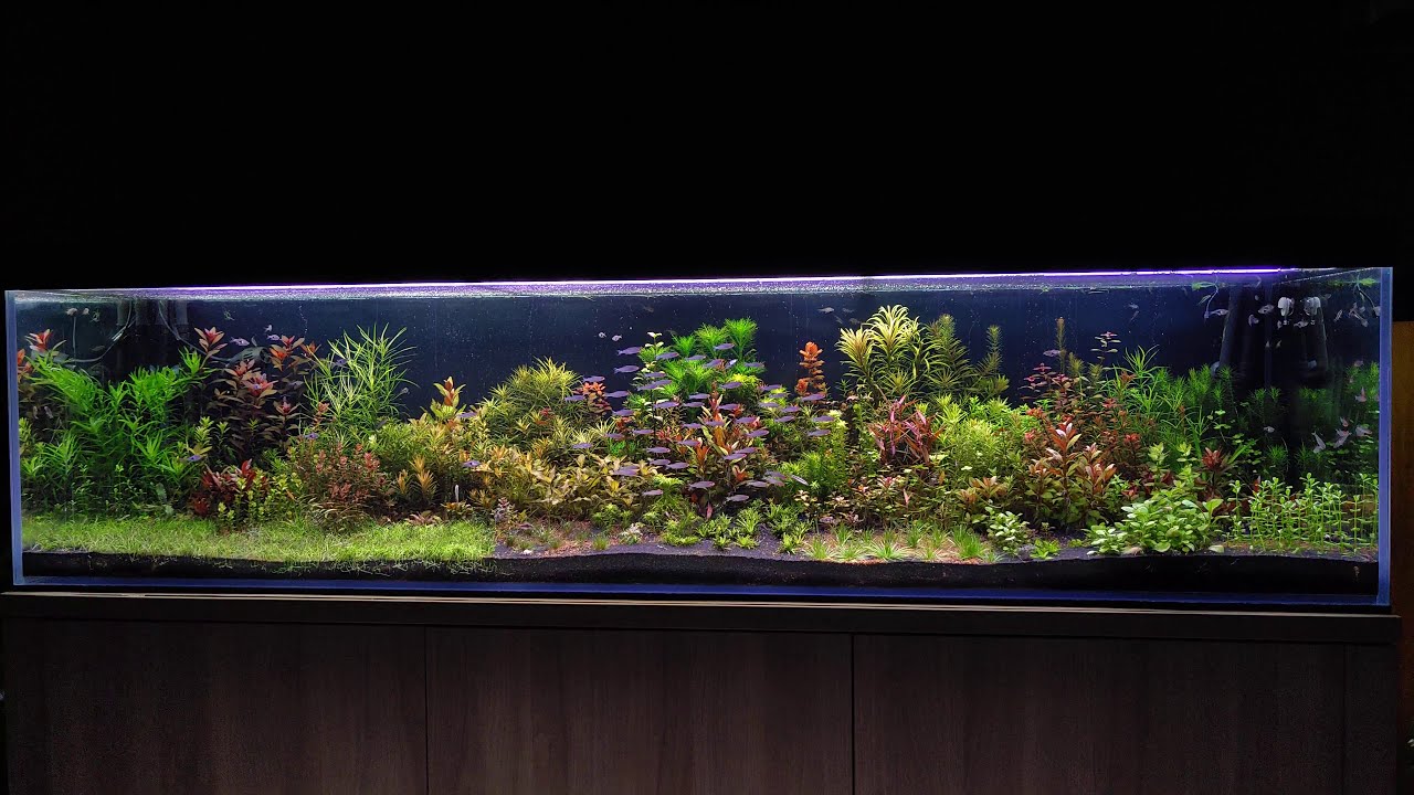 Szklanka w nowym domu 624l