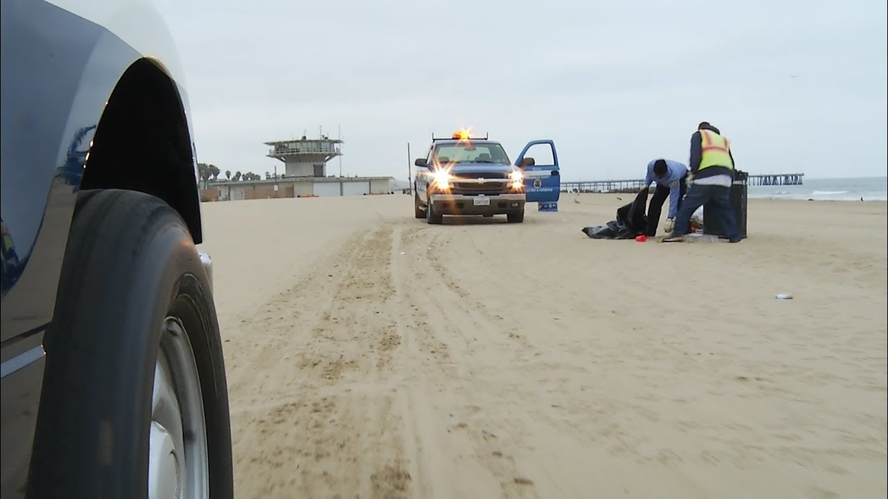 Our Beachcombers