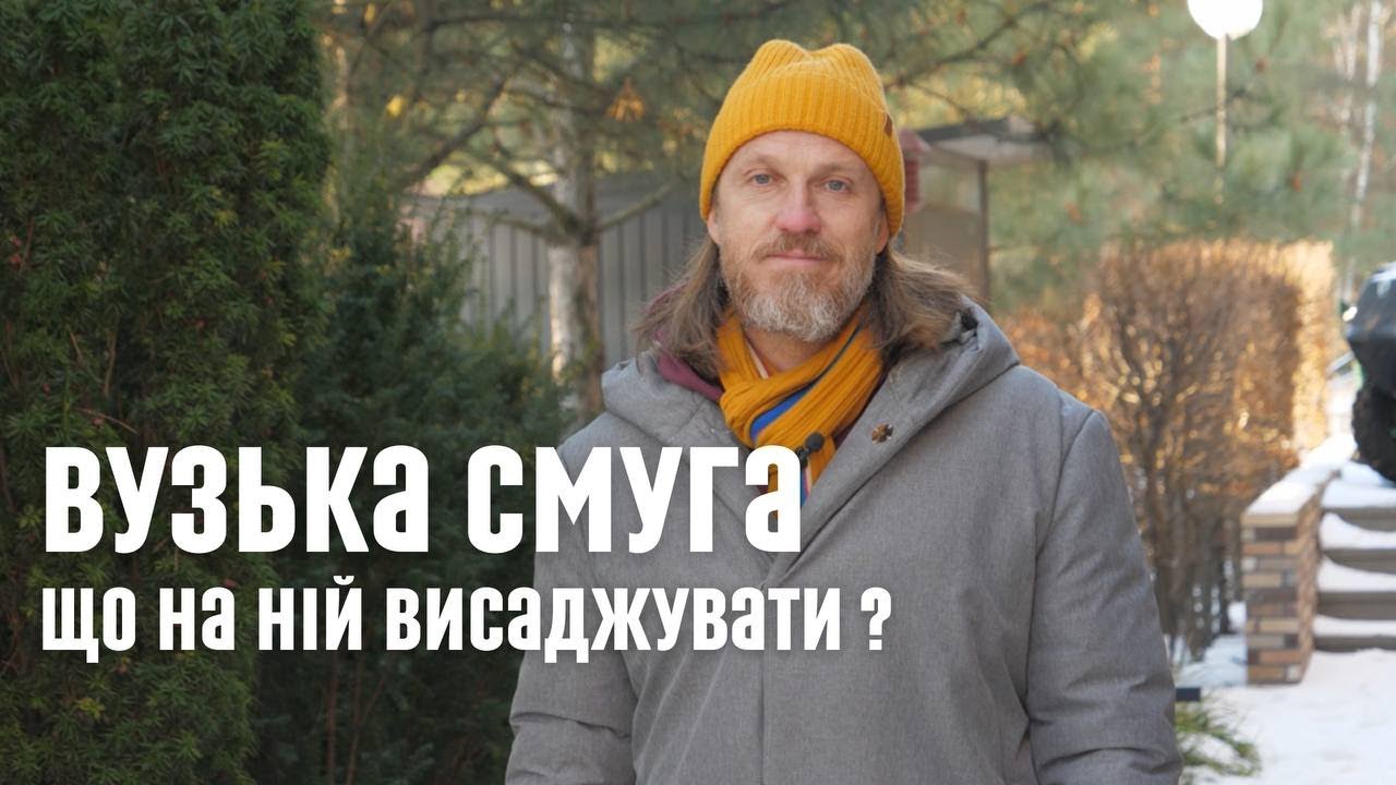 ЛАНДШАФТНИЙ ДИЗАЙН | ВУЗЬКА СМУГА. ЩО НА НІЙ ВИСАДЖУВАТИ?