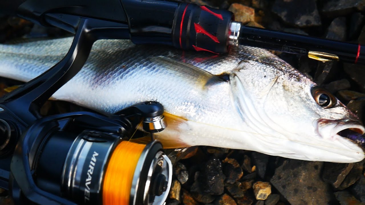 Shimano Miravel Review is it worth buying?!?!