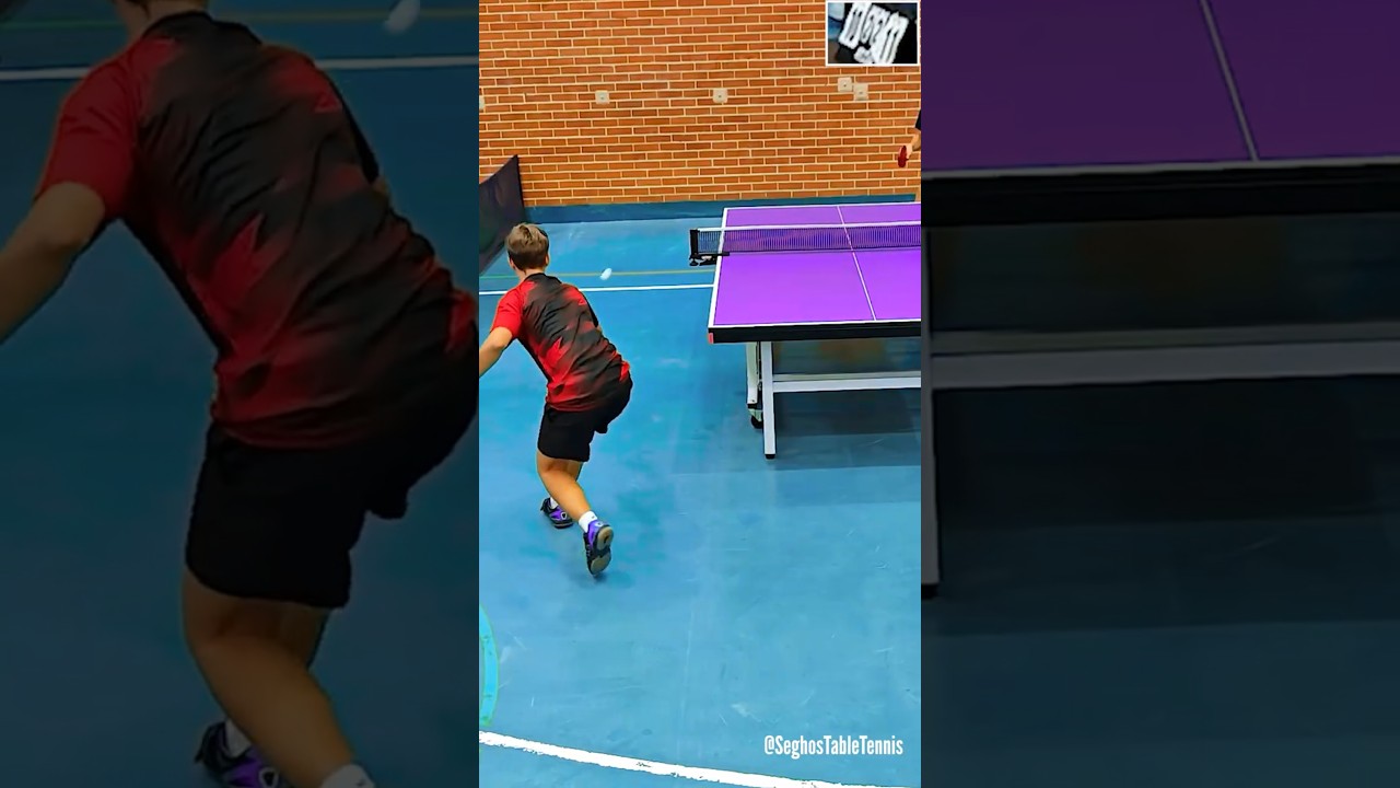 PingPong Match Point  #tenisdemesa #tabletennis