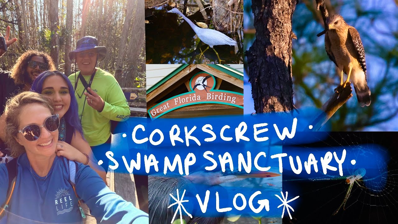 Corkscrew Swamp Sanctuary | Vlog & Wildlife Shuffle