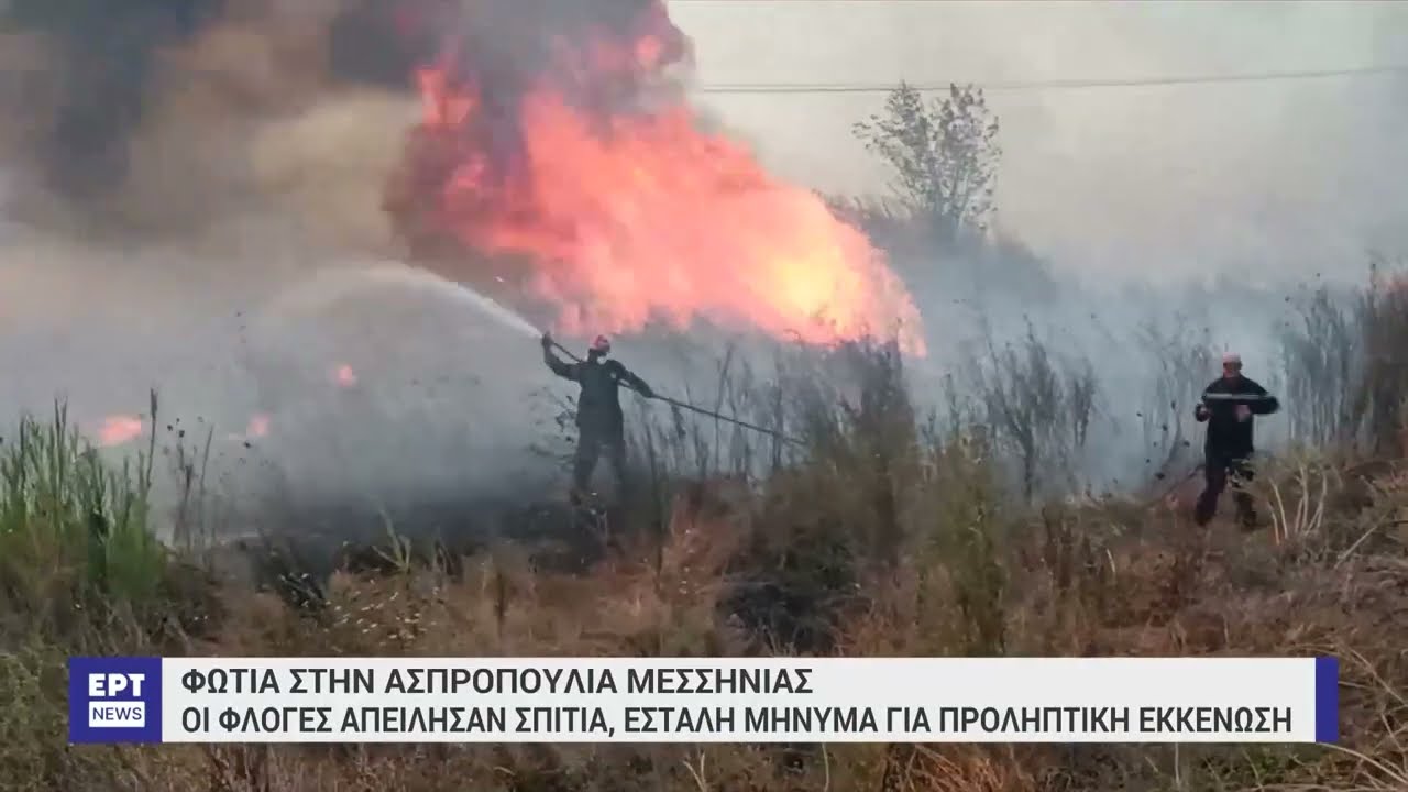 Οριοθέτηση της πυρκαγιάς στην Καλαμάτα | 31/08/2023 | EΡΤ