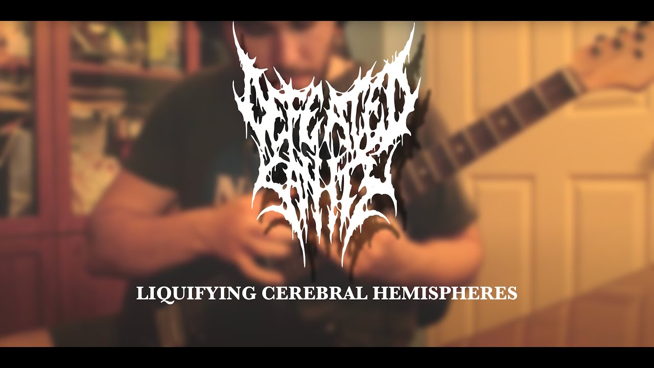 Defeated Sanity - Liquifying Cerebral Hemispheres Guitar Cover