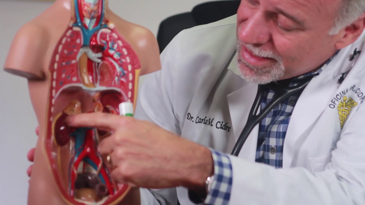 Episodio#19 Perdida de proteína en la orina, se puede revertir