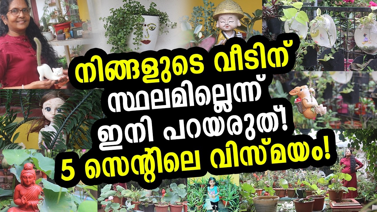 ചെറിയ സ്ഥലം, വലിയ സ്വപ്നം! തൃപ്പുണിത്തുറയിലെ 5 സെന്‍റ് ഗാർഡൻ സ്റ്റോറി | Gardening | Kerala