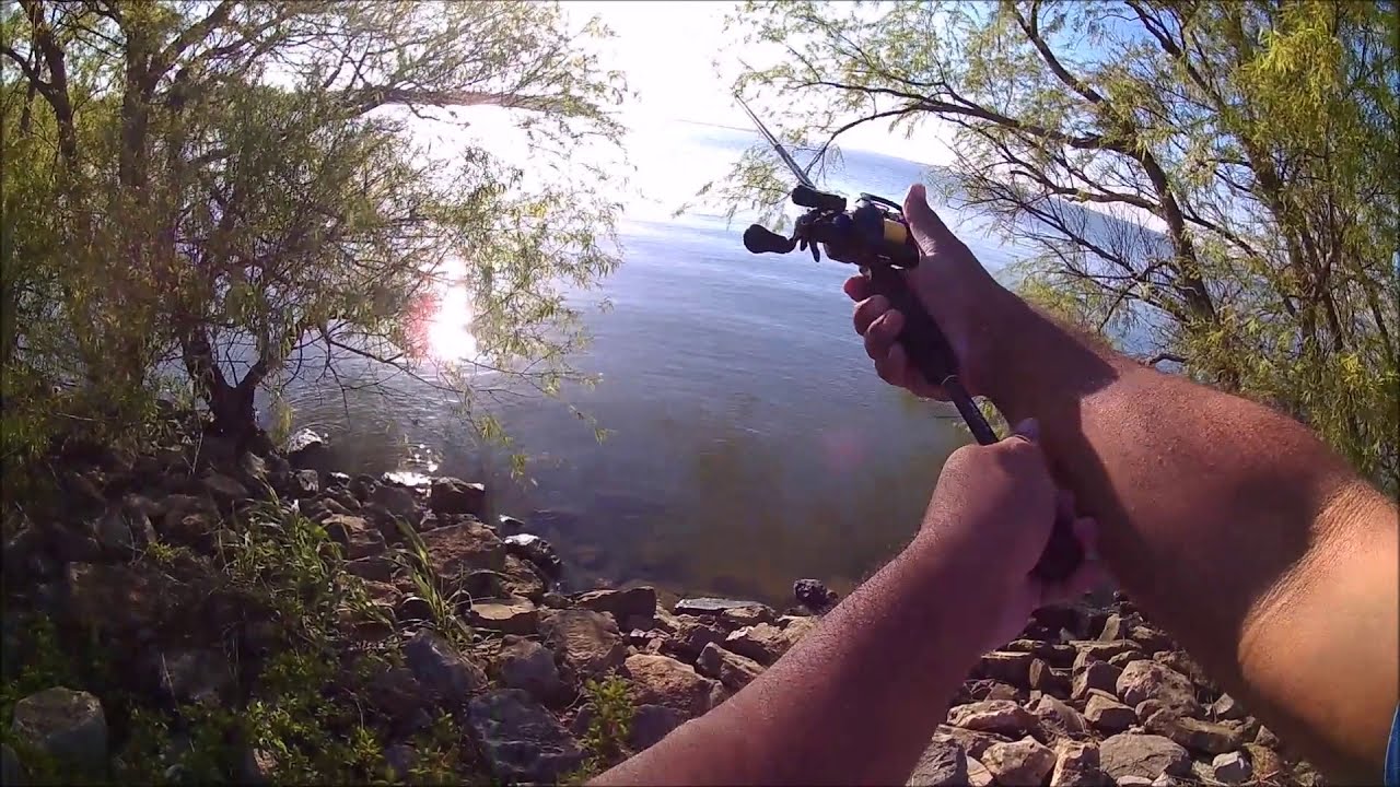 LAKE LEWISVILLE TX WHITE BASS, HYBRID BASS, SAND BASS , LOBINA BLANCA,