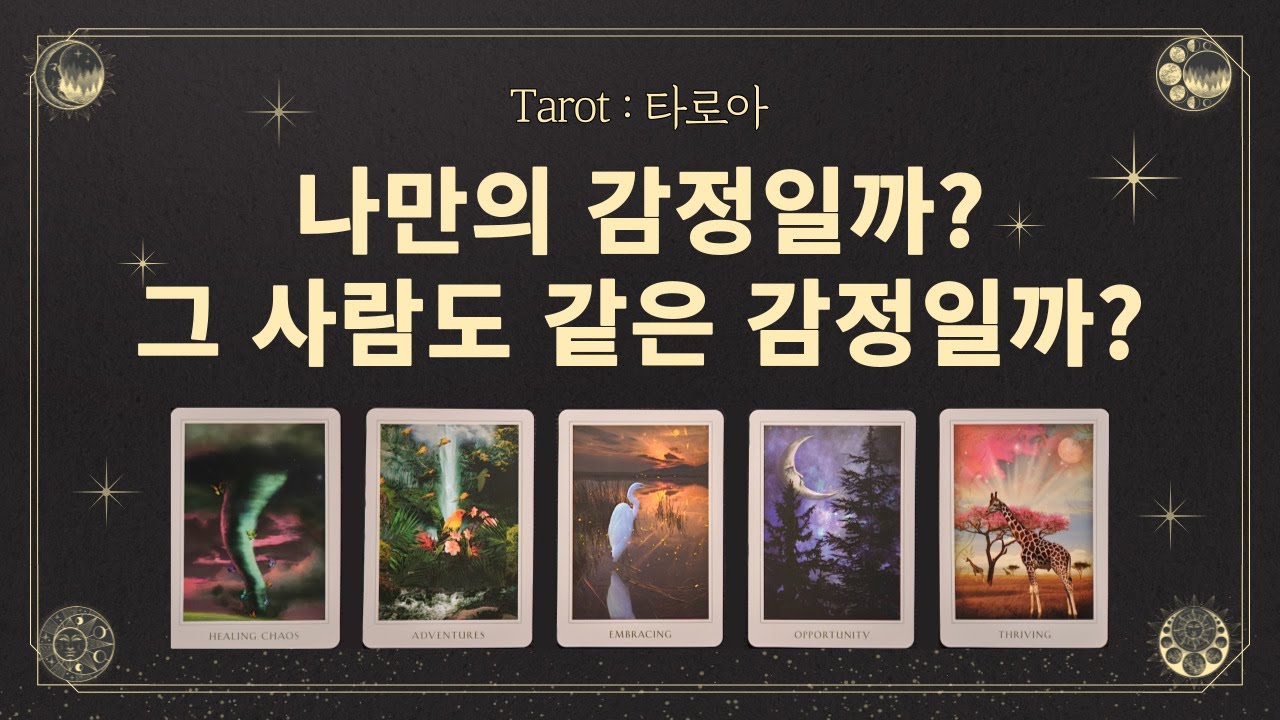 [💕 타로/연애운/타로연애] 나만의 감정일까? 그 사람도 같은 감정일까? 이성이 보는 나의 이미지 #타로카드 #타로연애운 💗타로아