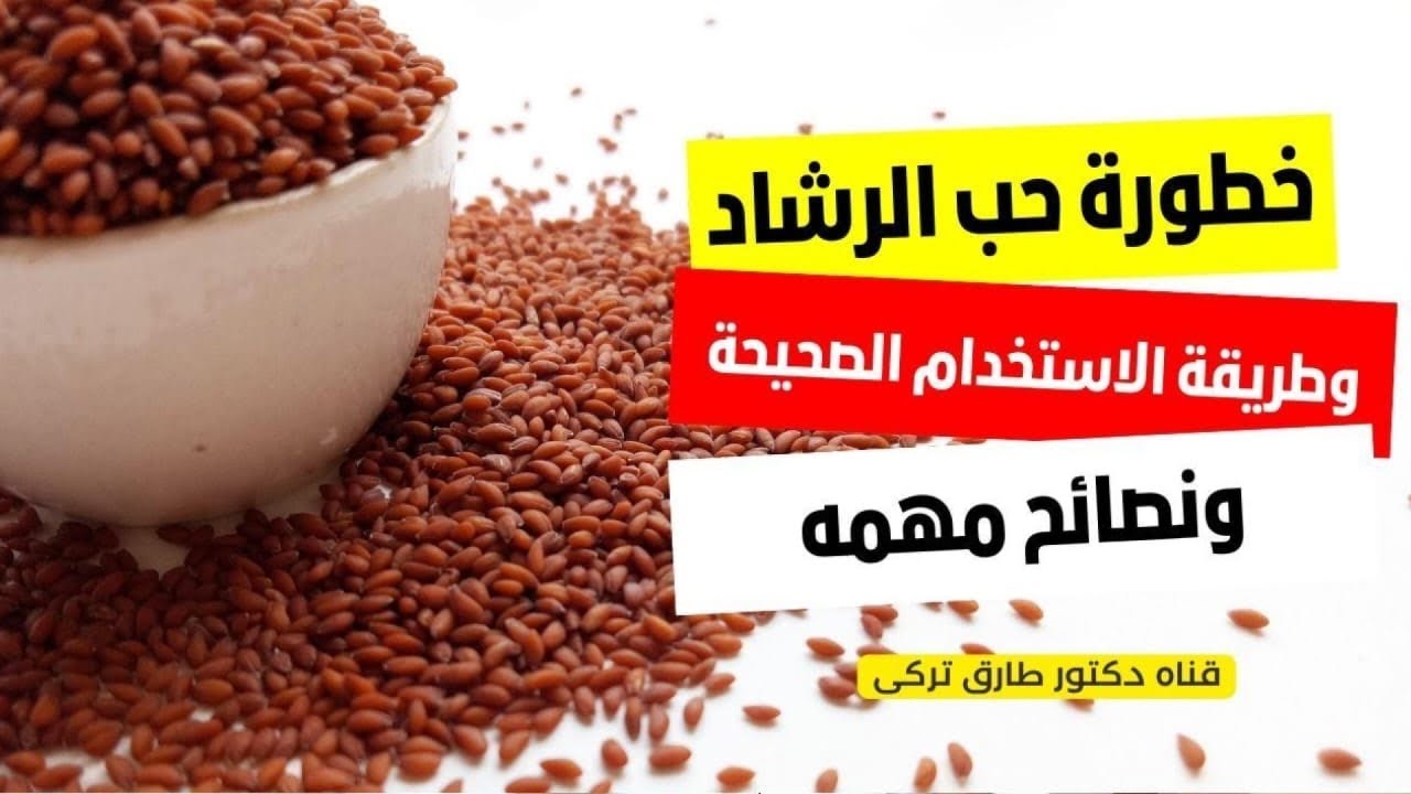 👈خطوره حب الرشاد ... وفوائده والأشخاص الممنوع عليهم استخدامه نهائيا وطريقه استخدامه بطريقه صحيحه 🔥