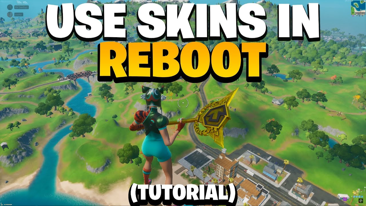 HOW TO USE SKINS IN PROJECT REBOOT (2024)